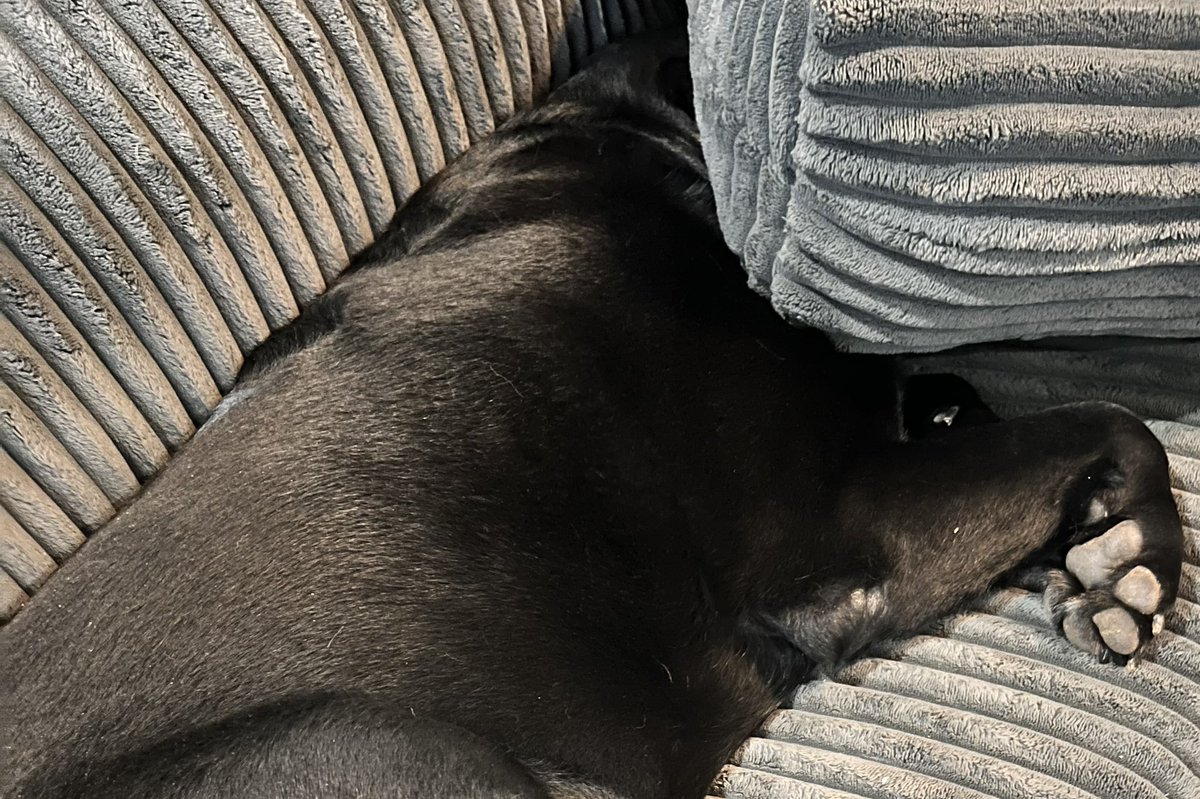 Moose is tired of my antics. See you for coffee.