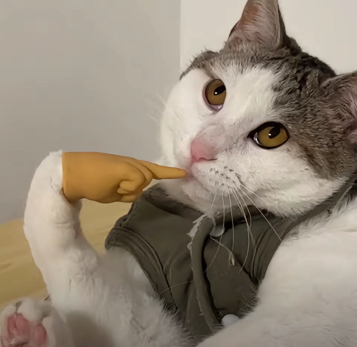 小草莓 tweet media