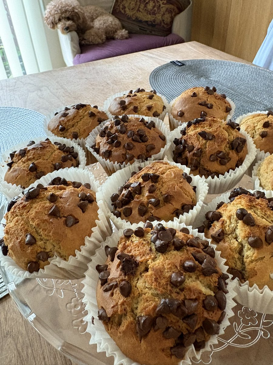 久しぶりにカップケーキ焼いてみた。

いや、かれこれカップケーキに関しては、5、6年は焼いてないかも。。

最後に焼いたのが一体いつだったか思い出せない位、久々。

さてお味は⁉️