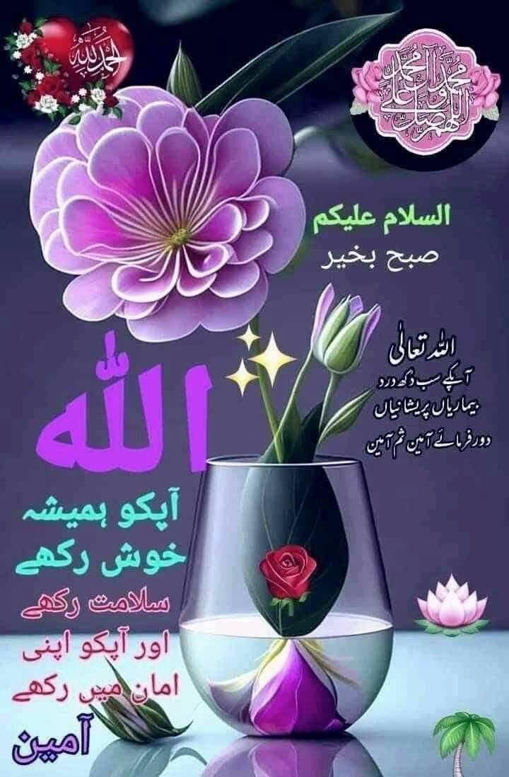 Reena Ghauri tweet media