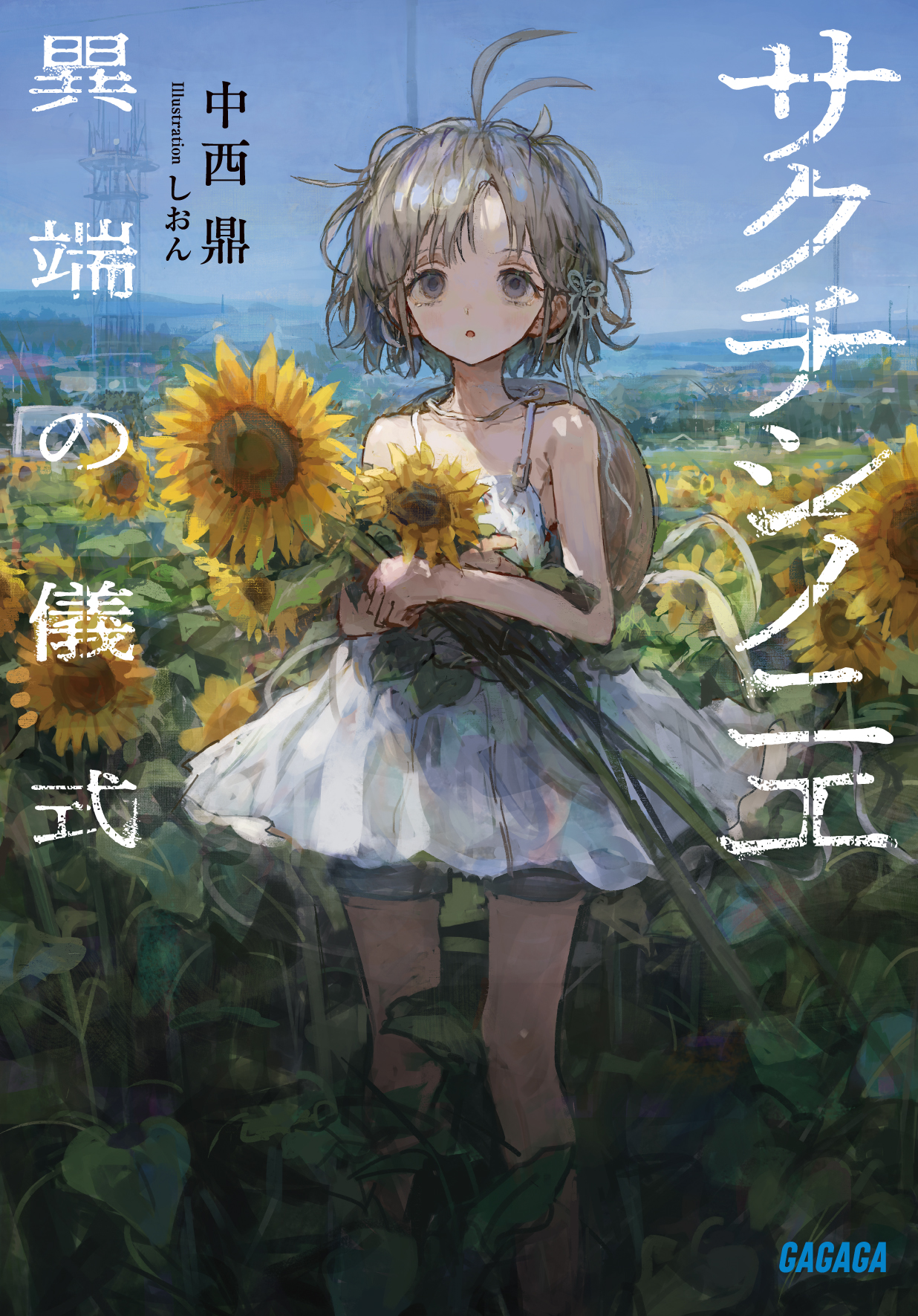 ボーイ・ミーツ・ガール　US版（NY限定公開）ポスター 最高にシャイでハイなボーイミーツガール──MoritaSaki in the