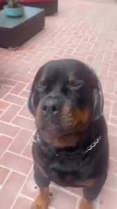 Mason Everett 🌵 tweet media