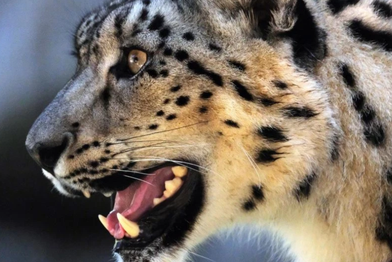 News 4 San Antonio tweet media