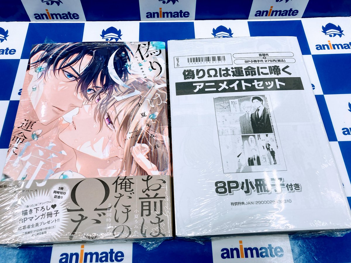 漫画28冊+小説2冊セット TL小説 2冊セット - メルカリ