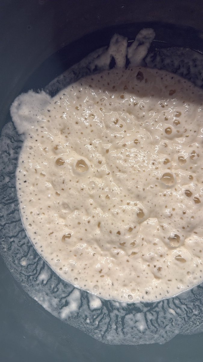 AsboolFatima's tweet photo. Homemade Sourdough toast 🍞🍞 https://t.co/lqfyyhiwR0
