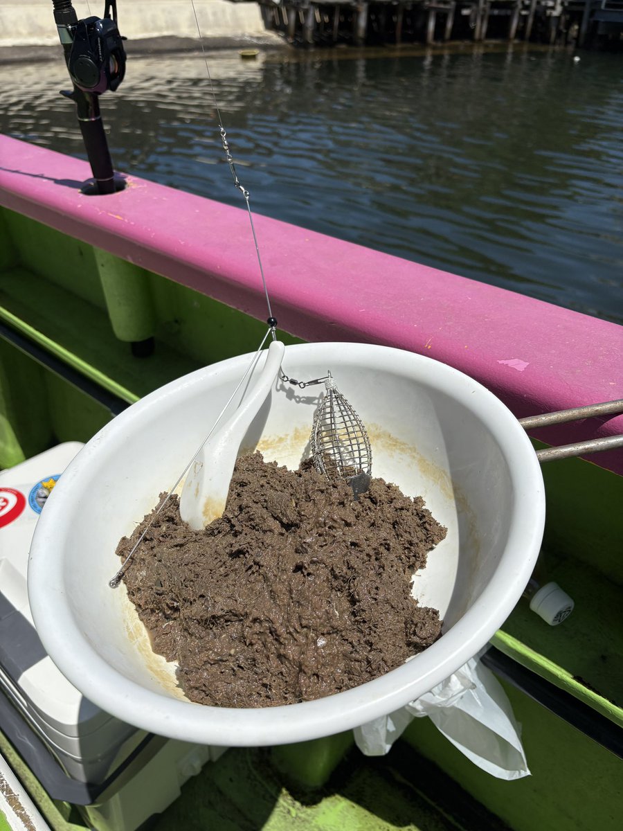 台風🌀の影響無さそう(^^)

急遽、午後LTアジ船で出船します〜〜

空いているょー