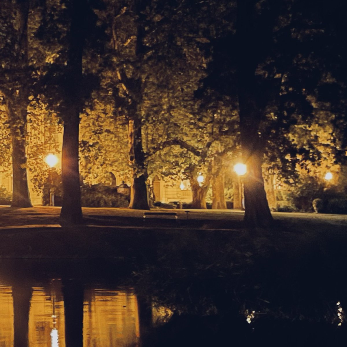 eqan_aly's tweet photo. Lagging by the lake- https://t.co/7F3vbwwsfW