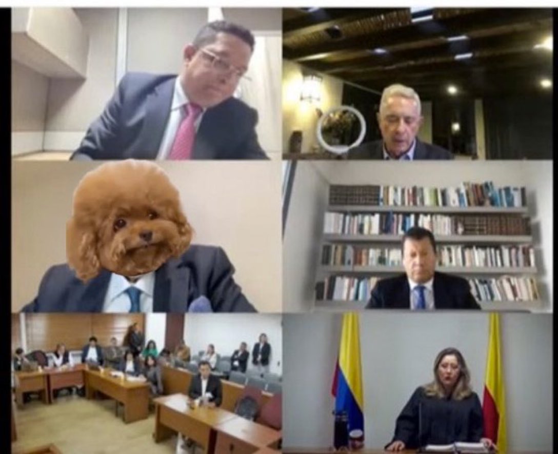 Esto me da una ternura y una risa ni la hijueputa…jajajajajajajajajajajajajajajajajajajajajajajajajajajajajaja