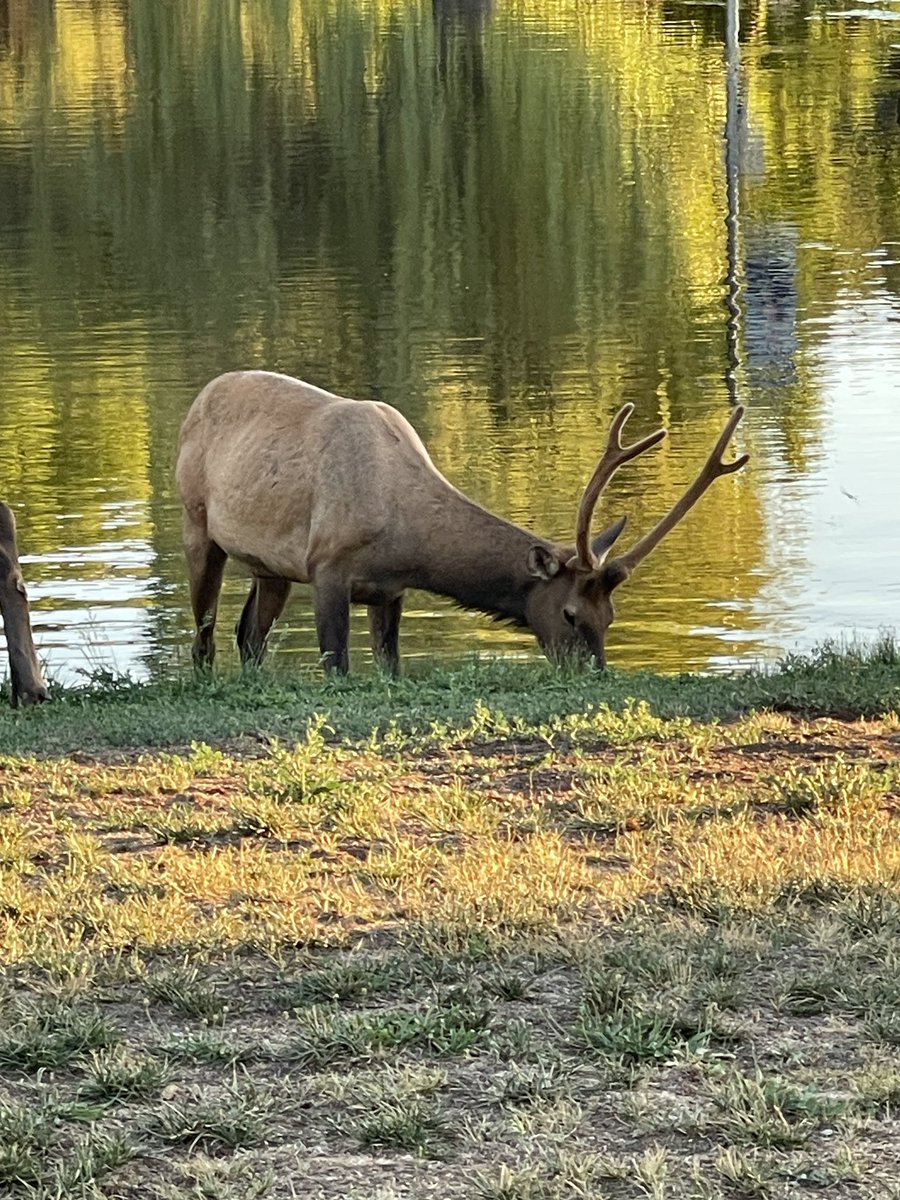 Patrick Walker tweet media