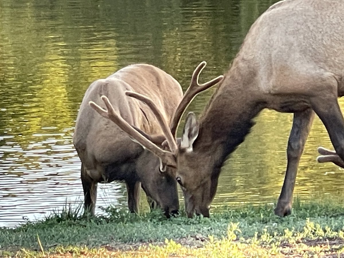 Patrick Walker tweet media