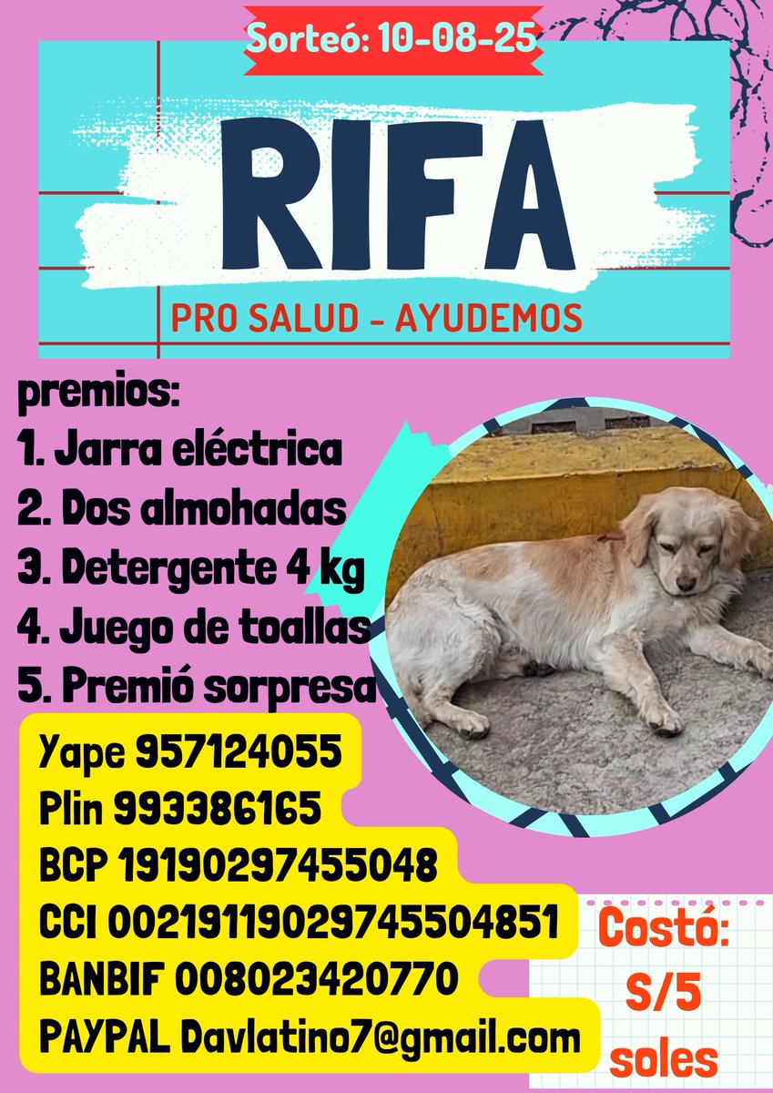 MirthaCastillov's tweet photo. Lomito llevá días abandonado, sufre de asma a consecuencia del intenso frío. Ayudemos comprando una rifa el costó es de 5 soles también dándo RT...
Con tu apoyó el lomito recibirá atención médica, medicina, alimento y temporal.
Sorteó de la rifa se realizará esté 10-08-25. https://t.co/O3fml3AneU