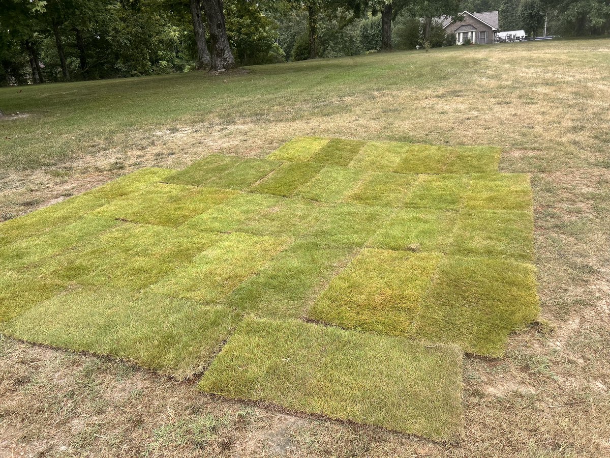 DGC Tallgrass tweet media