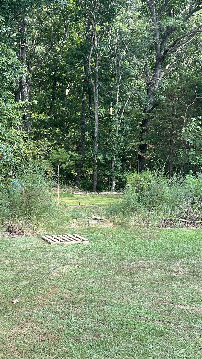 DGC Tallgrass tweet media