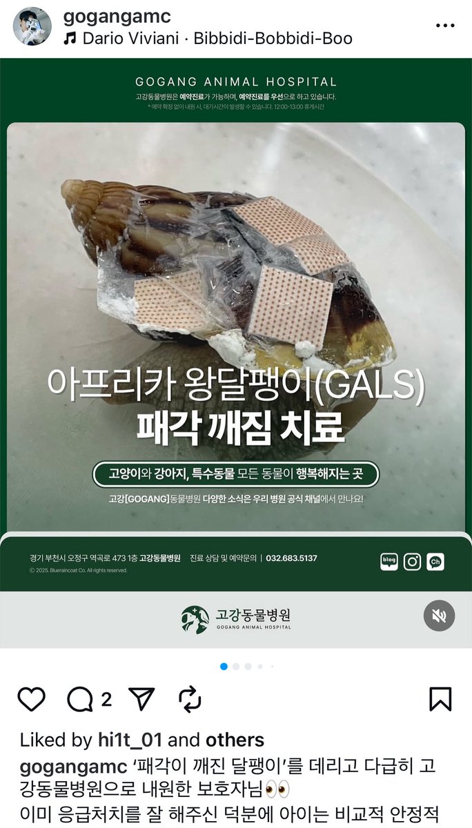 instagram.com/p/DMzteYezzIx/…

패각 깨졌을 때 이렇게 하면 되는구나…
꿀팁 같아서 들고와요 👍👍👍