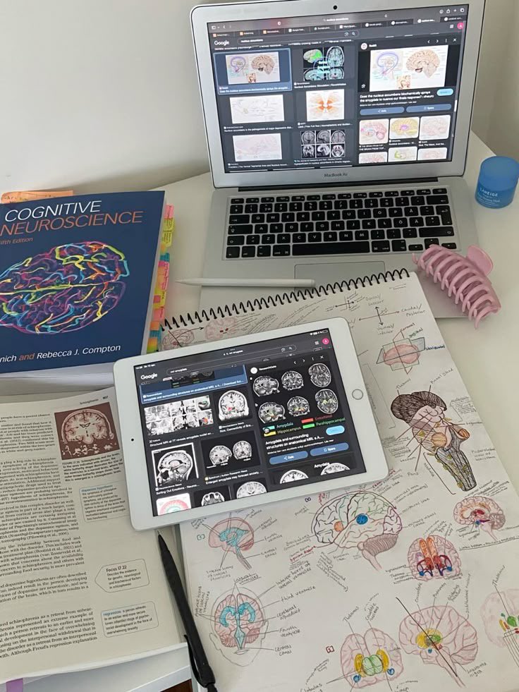 studyakiii's tweet image. — D-5 of looking for interactive moots !

₊˚ hi, i’m aki ྀི ! i’m looking for #studytwt , #studytwtph mutuals !

——💌
⋆˙⟡ 04’ ; she/her ; filo
⋆˙⟡ new to #studytwt 
༘ BS Psychology  2nd Year! 𝚿
༘ likes— analyzing people for fun 𖡎

♡ / ↻ to be mutuals^^