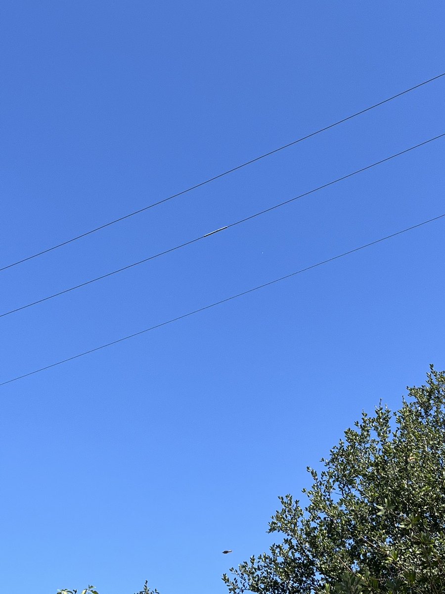 bheames's tweet photo. Drone? Wasn’t balloons or a helicopter. Stayed in same place for 15 minutes today in Rancho Cucamonga, CA.  No idea what it is. 

#uaptwitter #ufo #socal #ranchocucamonga #uap https://t.co/p90MO7YwzB