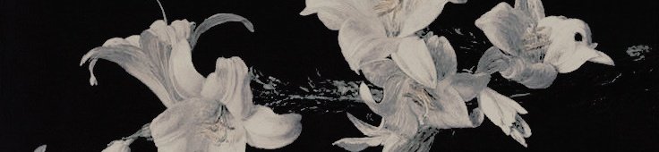 ⠀⠀⠀

⠀⠀⠀ ⠀ ،،  things  you  must  know
            𝑎𝑏𝑜𝑢𝑡  her  ⎯⊹  ﹙⠀basic⠀data.⠀﹚⠀
⠀⠀