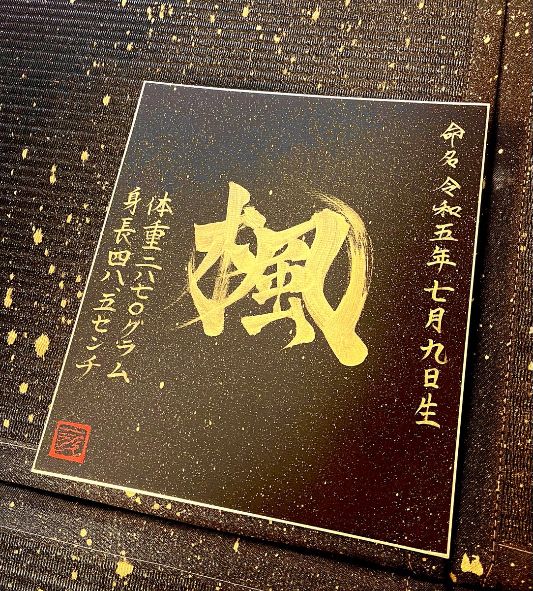 【命名書ギフト】

『楓』かえで：Kaede

#書道 #命名書 #命名書ギフト
#namingbook #漢字 #shodo
#kanji #楓 #gift #書道家
#japanese #japanesecalligraphy
#日本語 #nihongo #calligraphy