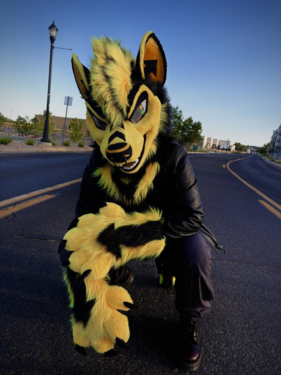 Streetsign K9 is here and ready to get your heart RACING ❤️💛💚