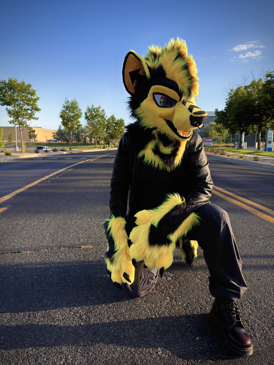 Hey, car furries, pspspsps ⚠️