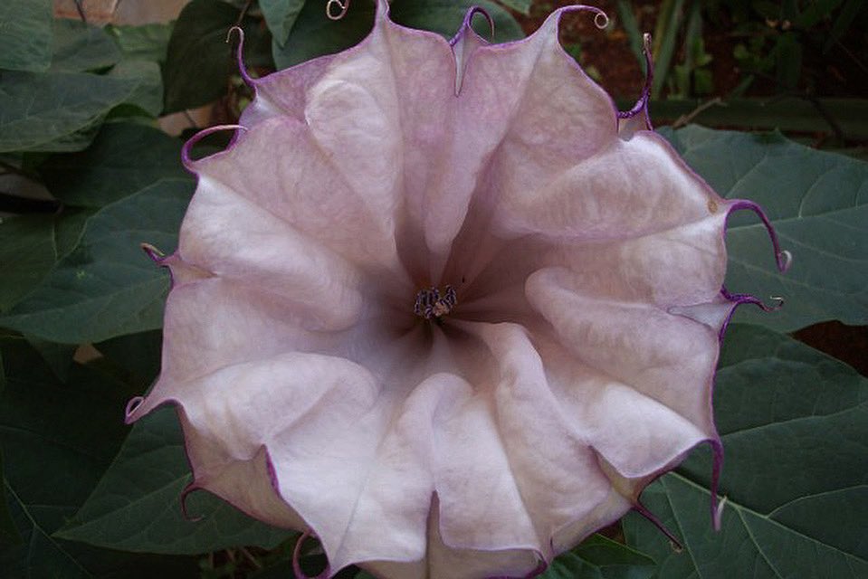 when you force it vs. when you allow it