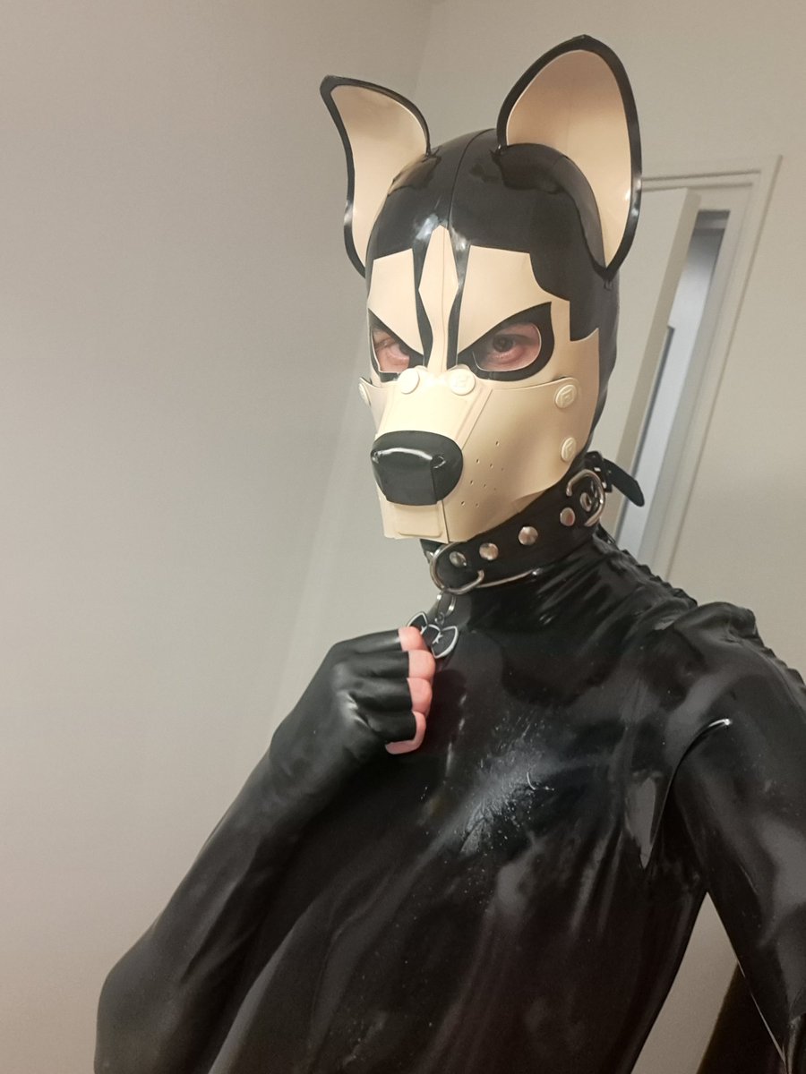 Had a great first night at canfur... Tomorrow is fox day