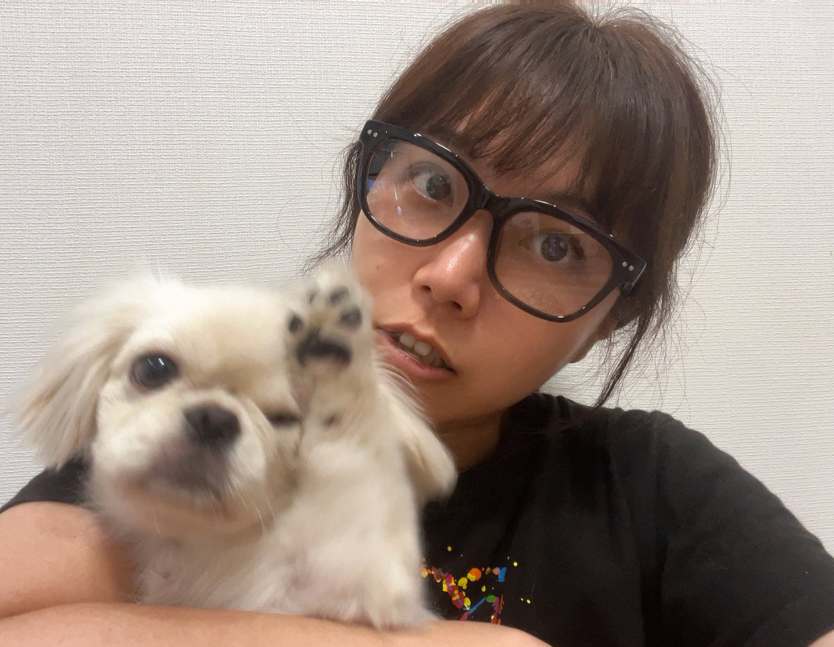 調光レンズのメガネが欲しくて購入👓️

ただでさえ目が弱ってきてるからね💦
せめて陽射しからは守ってあげようと思った次第です😌

目線も髪もボサボサだけどファルの躍動感(ウインク？&amp;お手々上げてる&amp;肉球)が可愛いのでコレにしました🤣

犬ファースト🐕️🩷