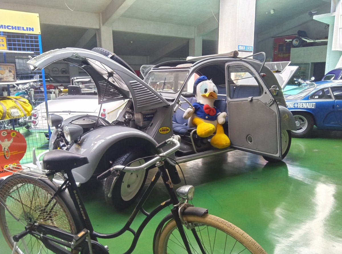 シシャーニ (@weirdshishani) / X