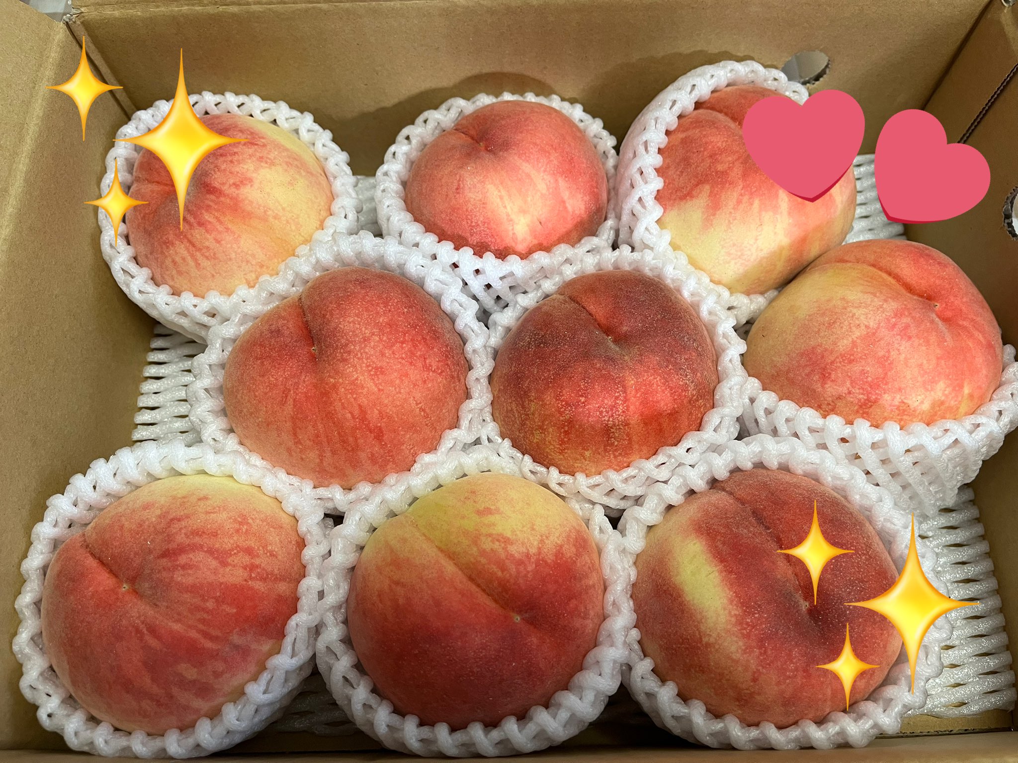 ☘️くろこ☘️ (@kuroko888) / X