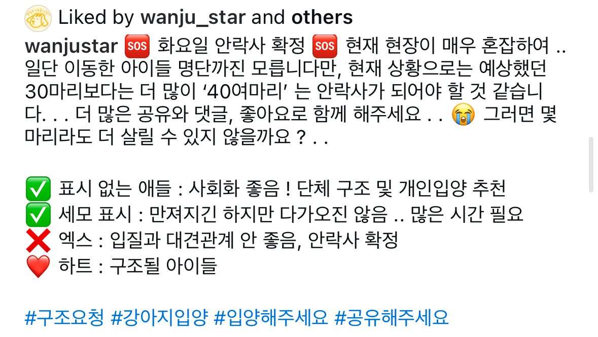 maple_maaaandoo's tweet photo. 🆘RT부탁드립니다🆘 현재 완주보호소 폐쇄로 안락사 날짜와 명단이 확정되었어요 약40여마리 확정이라는데 트위터라면 며칠동안 한 아이라도 살릴 수 있지않을까해서요 유명하지않고 트위터도 하지않고 입양홍보가 쉽지않은데 이런 곳에도 참 많은 아이들이 있습니다 인스타wanju_star https://t.co/3KmorUZjzD