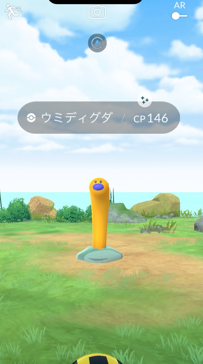 ウミディグダ、キラ〜ん✨✨