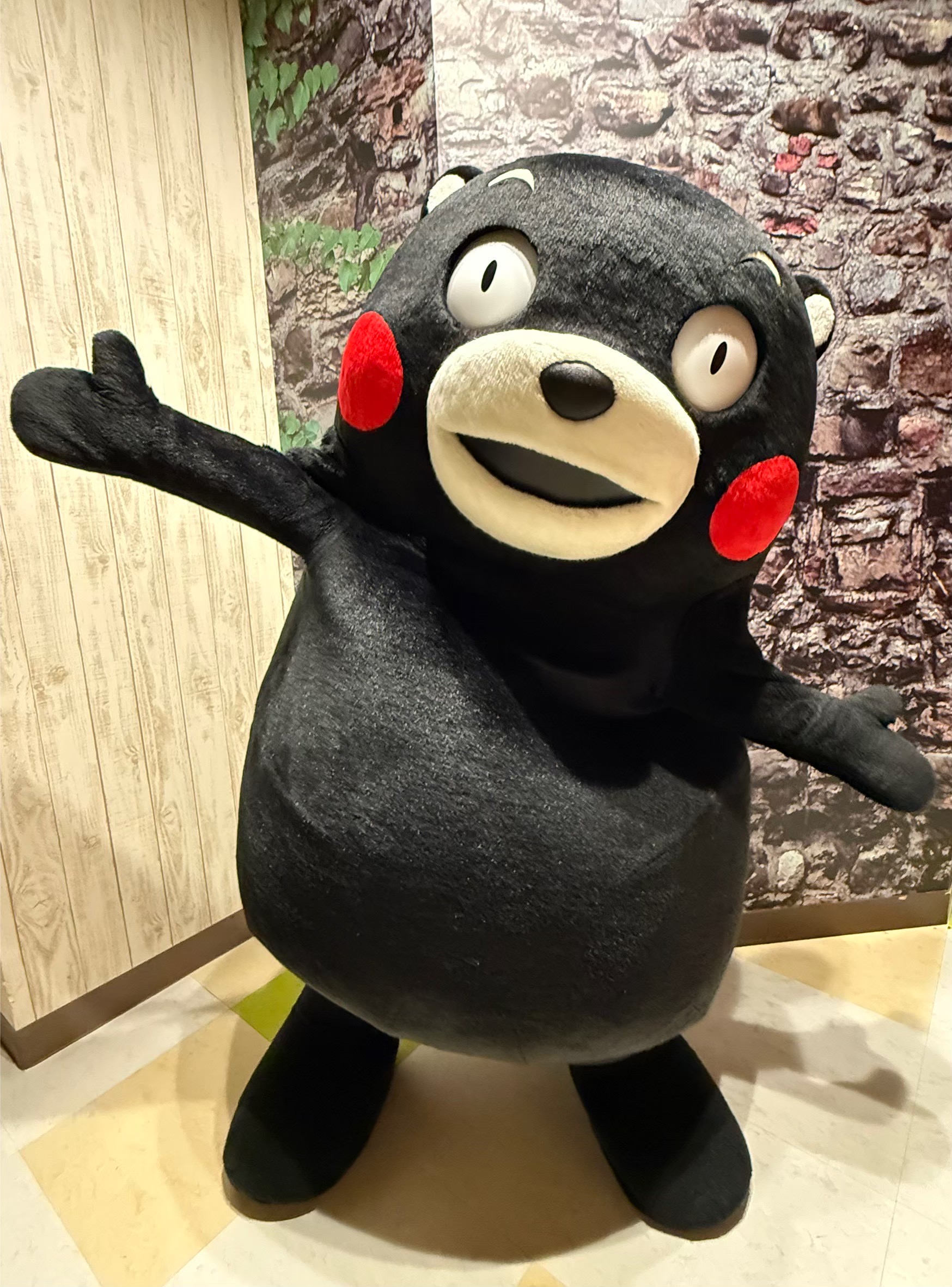 DFESTA熊本 入場特典 くまモン DFESTA熊本 入場特典 くまモン DFESTA熊本 入場特典 くまモン