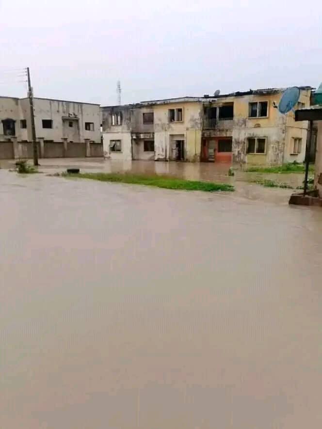 On behalf of Matasa 360 Initiative, we extend our heartfelt sympathies to the resilient people of Yola South affected by the flash floods. We stand in solidarity with you and offer our support, knowing that together, we can navigate this challenging time and emerge stronger.

ED.