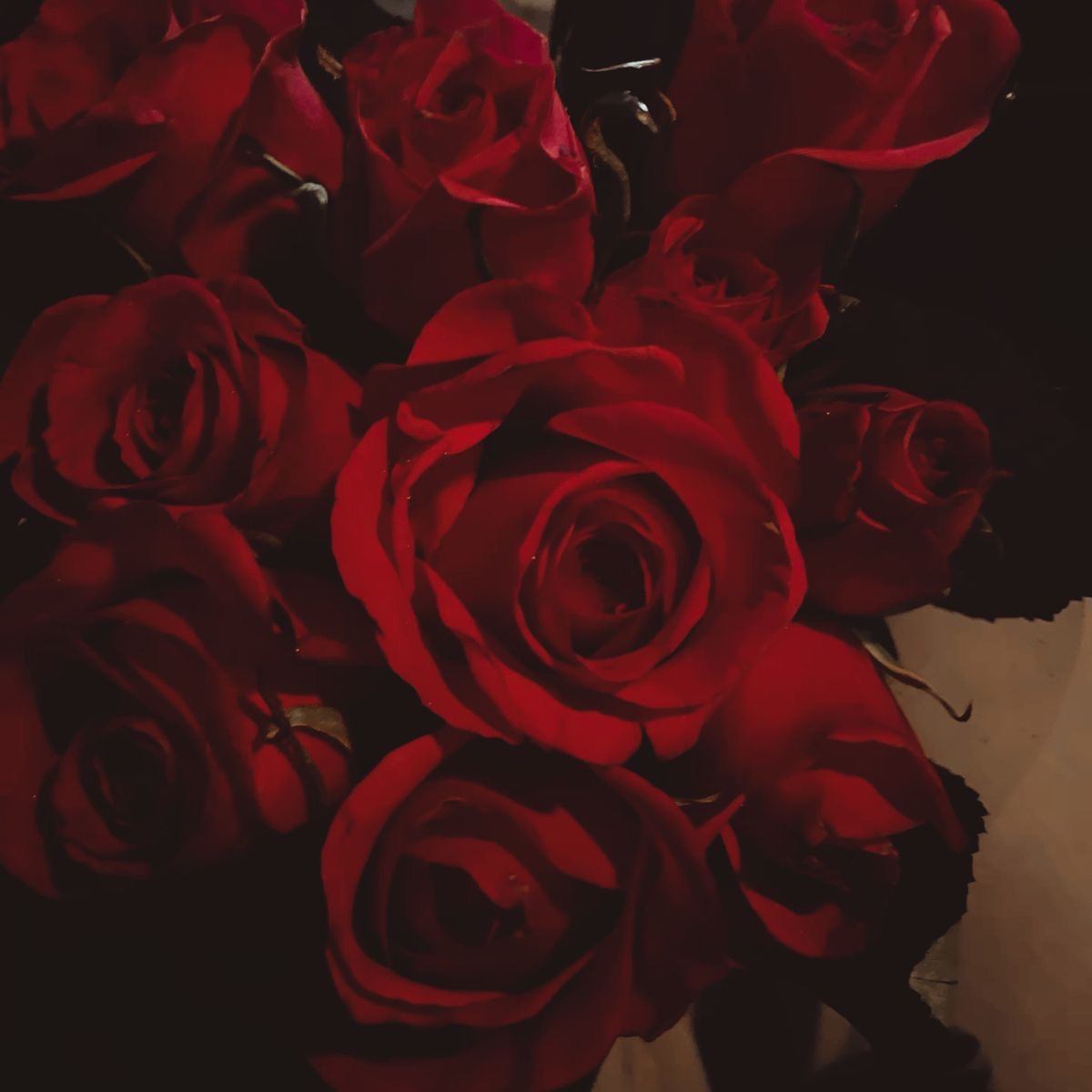  𓂃 𝙃𝘼𝙒𝙆𝙀𝙔𝙀 .·ˇ (@clrcusb0y) on Twitter photo <a href="/SLAVYANSK4YATEN/">𝗕𝗟𝗔𝗖𝗞 𝗪𝗜𝗗𝗢𝗪</a> .
Dejo las flores en un
florero , la tomo de la cintura
y se la llevo a la cama . <a href="/SLAVYANSK4YATEN/">𝗕𝗟𝗔𝗖𝗞 𝗪𝗜𝗗𝗢𝗪</a> .
Dejo las flores en un
florero , la tomo de la cintura
y se la llevo a la cama .