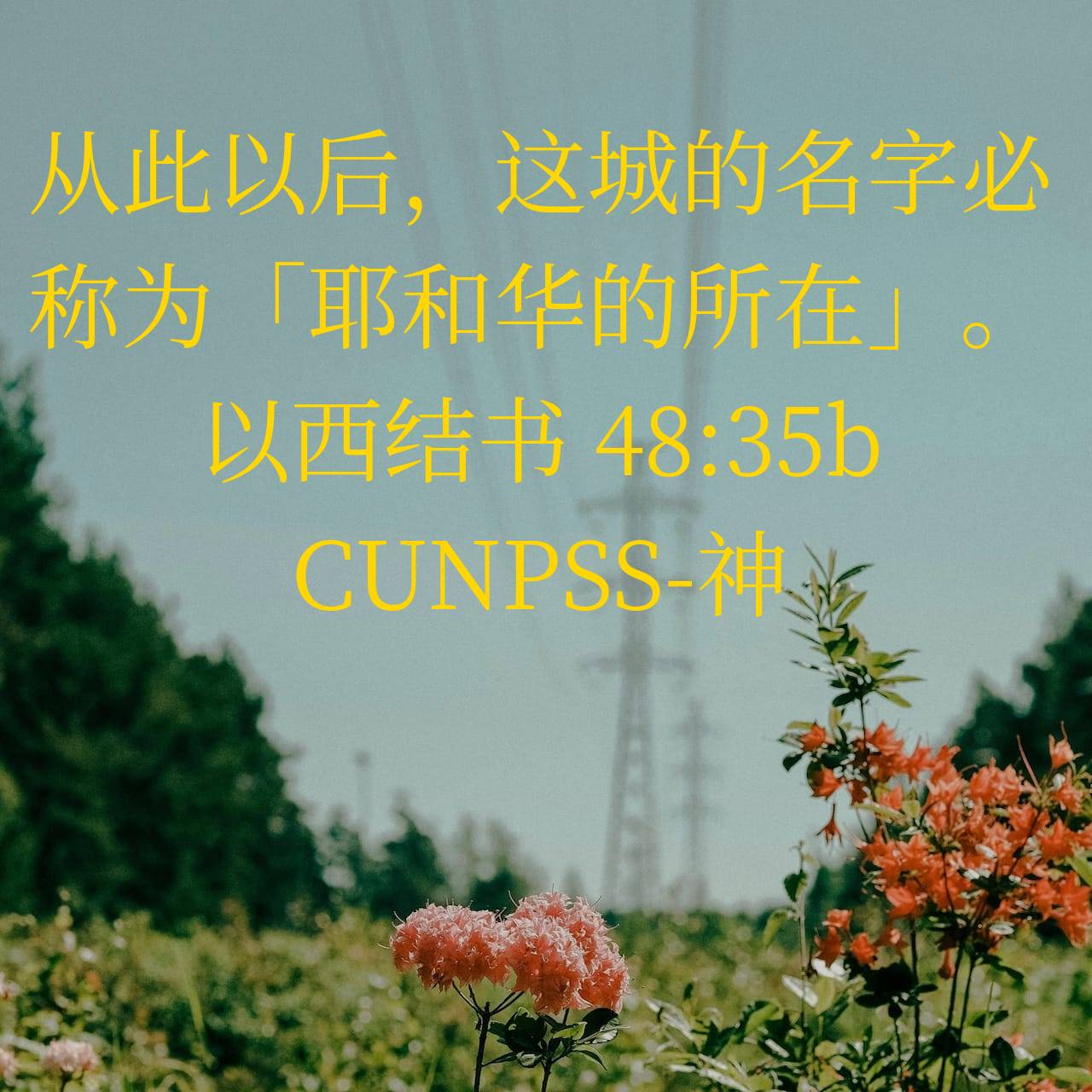 「再校 要馬秘極集」貞享五年 河内屋嘉七 13巻揃6冊|馬術 馬医術 兵法 和本 再校 要馬秘極集」貞享五年 河内屋嘉七 13巻揃