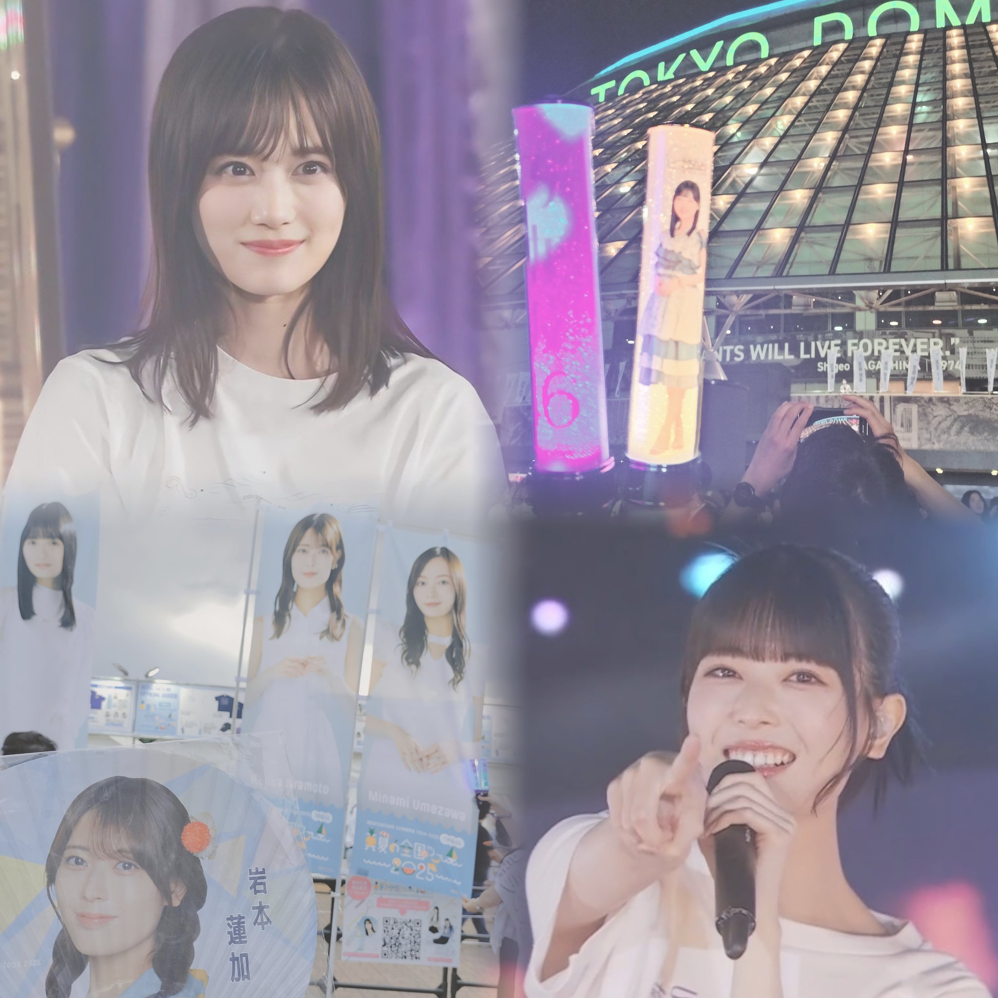 乃木坂オタ 将軍◢⁴⁶ 乃木坂46 全ツー 8/10 福岡、8/16・17 香川 8/11櫻坂46
