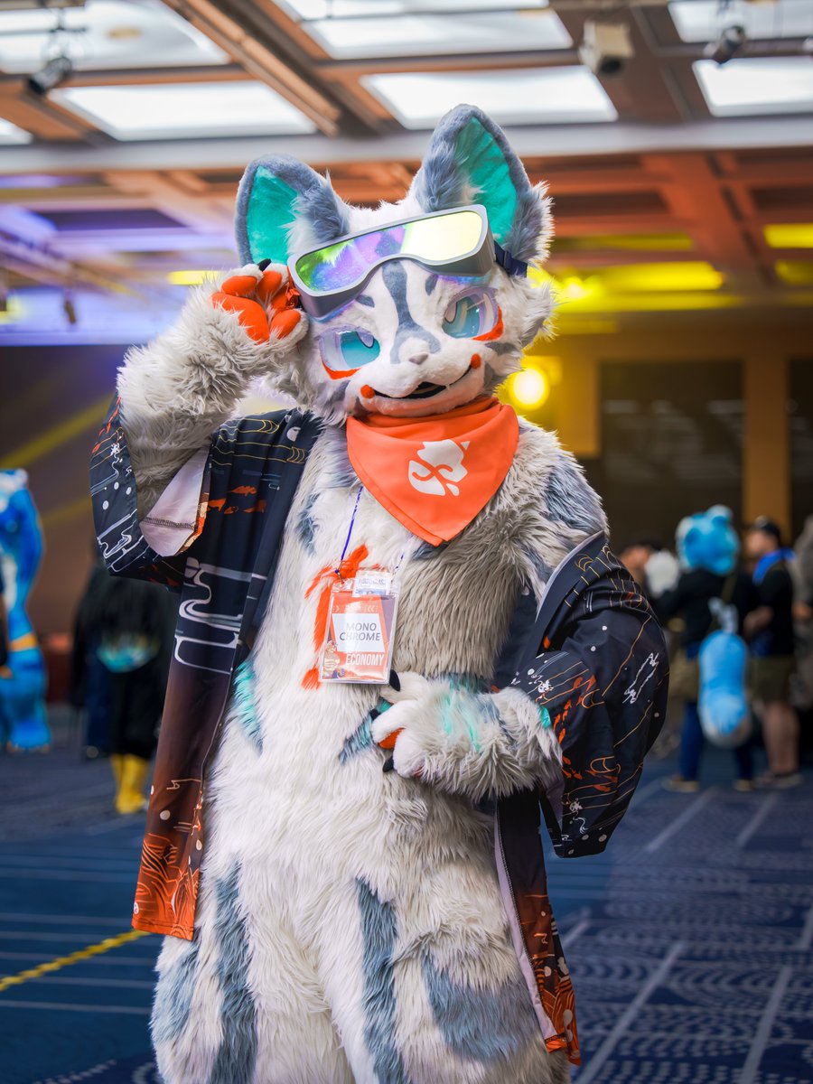 Meoru_butler's tweet image. #FurstClass