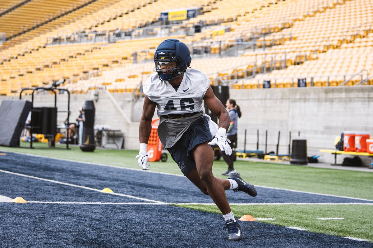 Fall ⛺️ #2🐻🐻