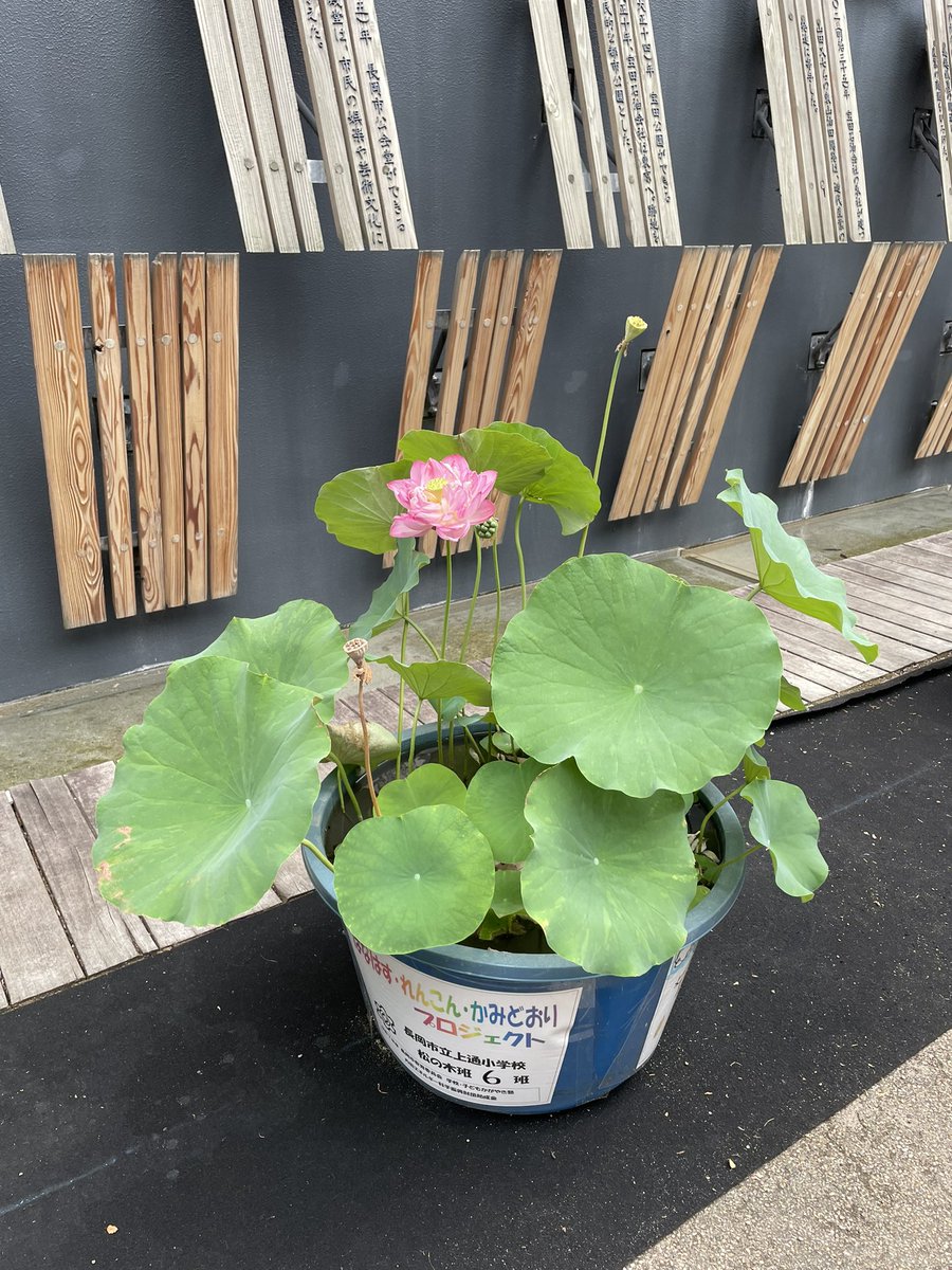 楽しんでます🍖