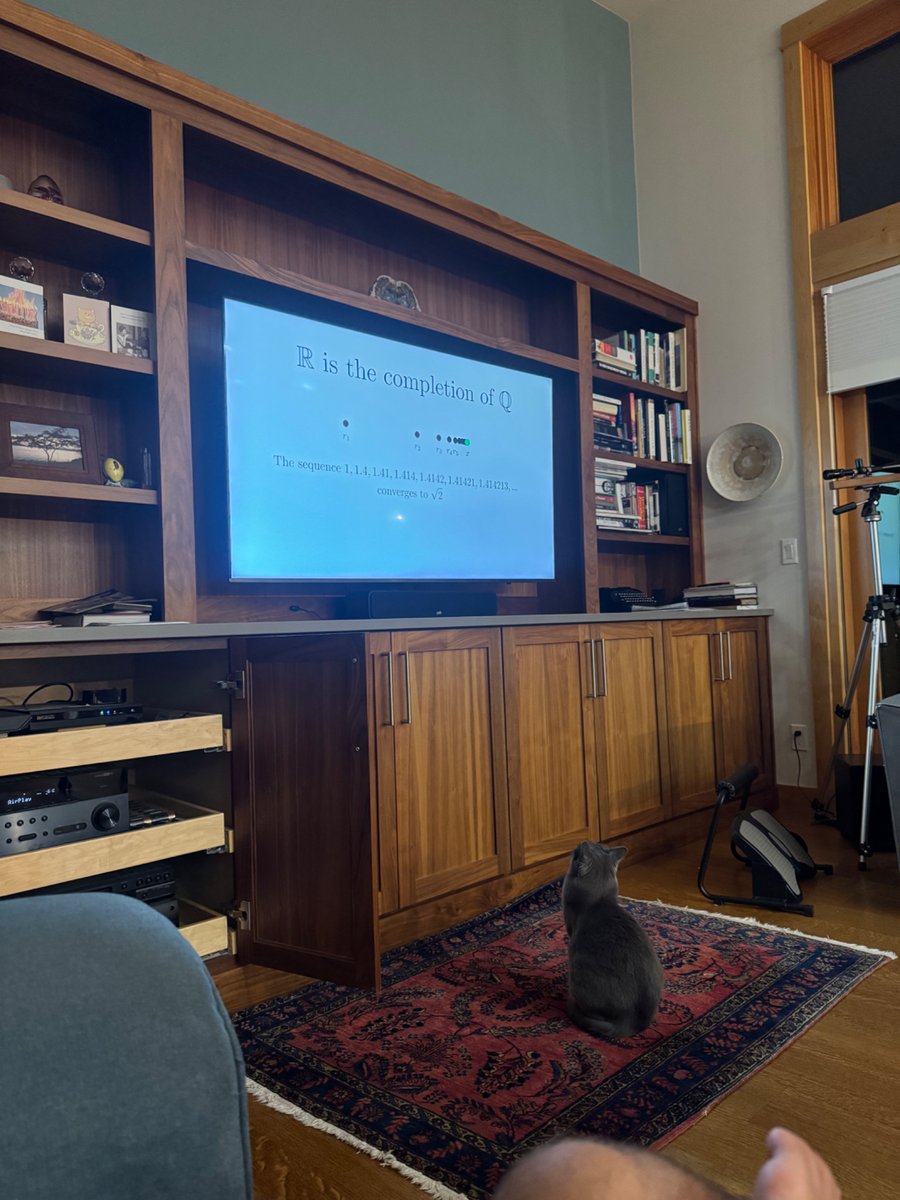 studying the lebesgue integral with the cat