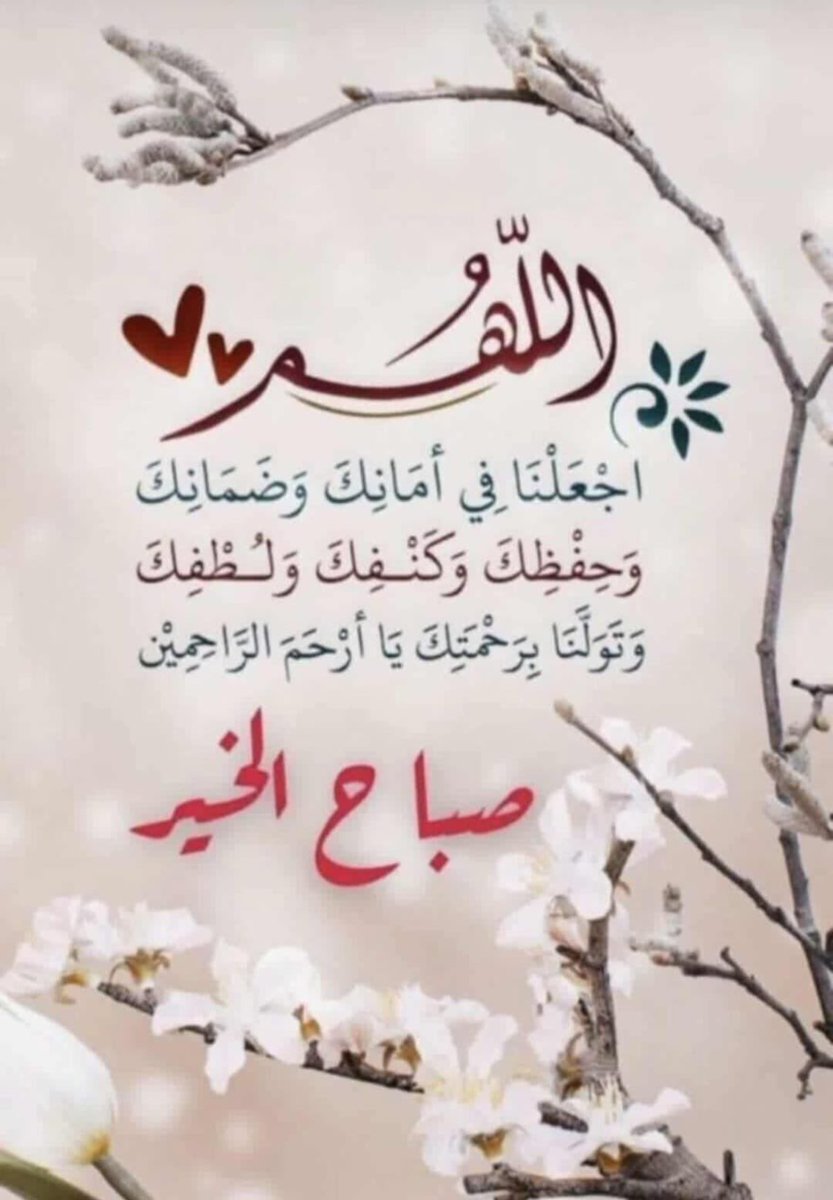 abdula mohammad (@abdulamohammad5) on Twitter photo 