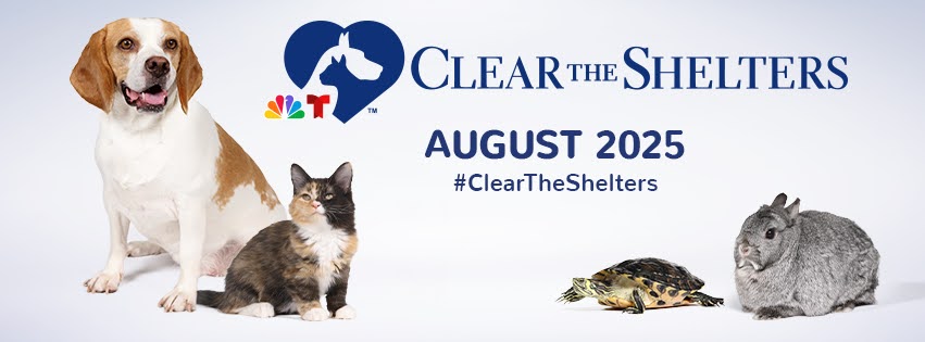 CatHouse onthe Kings (@cathouseotkings) on Twitter photo So happy Clear The Shelters 11th consecutive annual adoption campaign Aug. 1 to 31
Since 2015, CTS has helped 1.2 million pets find new homes, let's find more cathouseonthekings.com/adoption
<a href="/werescue/">werescue</a> <a href="/HillsPet/">Hill's Pet Nutrition</a>
<a href="/shelters_the/">ClearTheShelters</a> <a href="/GreaterGoodChar/">GreaterGoodCharities</a>
#ClearTheShelters #DesocuparLosAlbergues So happy Clear The Shelters 11th consecutive annual adoption campaign Aug. 1 to 31
Since 2015, CTS has helped 1.2 million pets find new homes, let's find more cathouseonthekings.com/adoption
<a href="/werescue/">werescue</a> <a href="/HillsPet/">Hill's Pet Nutrition</a>
<a href="/shelters_the/">ClearTheShelters</a> <a href="/GreaterGoodChar/">GreaterGoodCharities</a>
#ClearTheShelters #DesocuparLosAlbergues