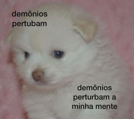 jupereba's tweet photo. eu que me #lasque https://t.co/cVvmfGdpLl