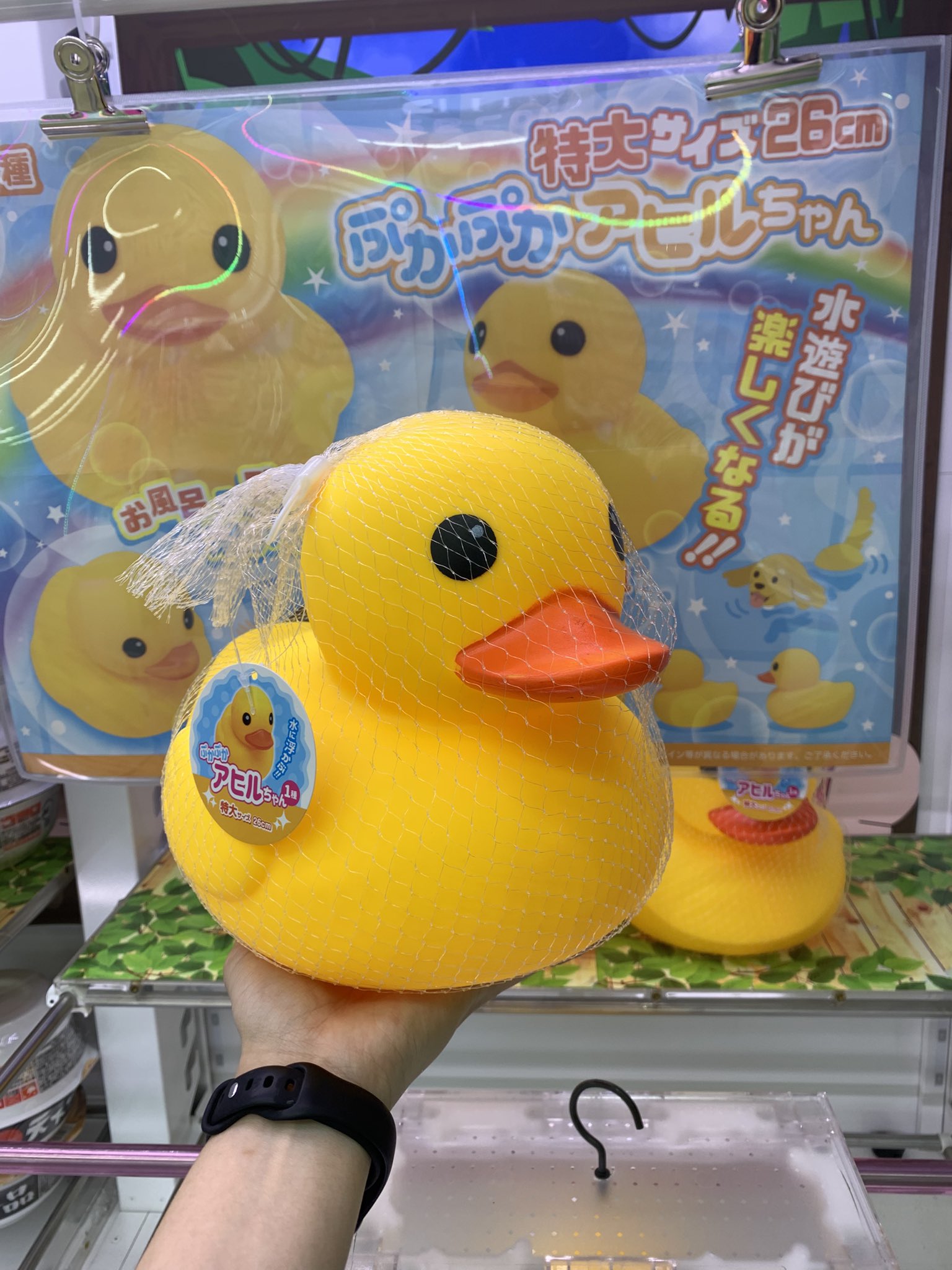 おかもっちゃん リニューアルした ちいかわらんど原宿へ 行き、新商品を購入致し