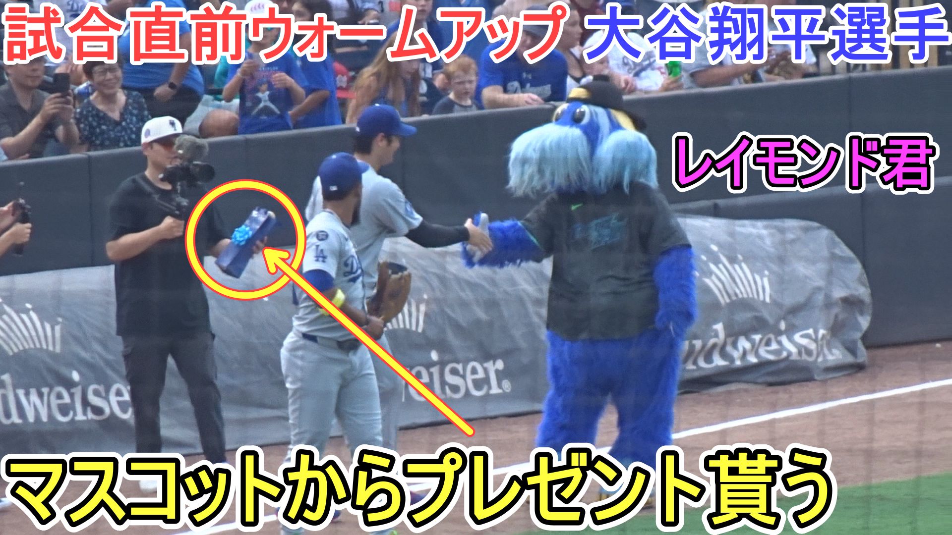 大谷翔平　DUNLOP　横断幕 DUNLOPと大谷翔平(コラボ)⭐︎横幕⭐︎ - メルカリ