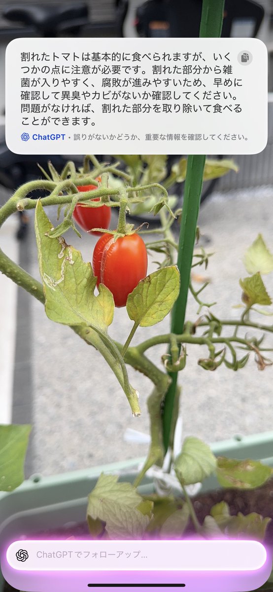 いまいち持て余すiPhoneのアクションボタンに
「ビジュアルインテリジェンス」なるものが🤔
アクションボタンからワンクリックでAIに写真付きで質問できるのいいかも🤔