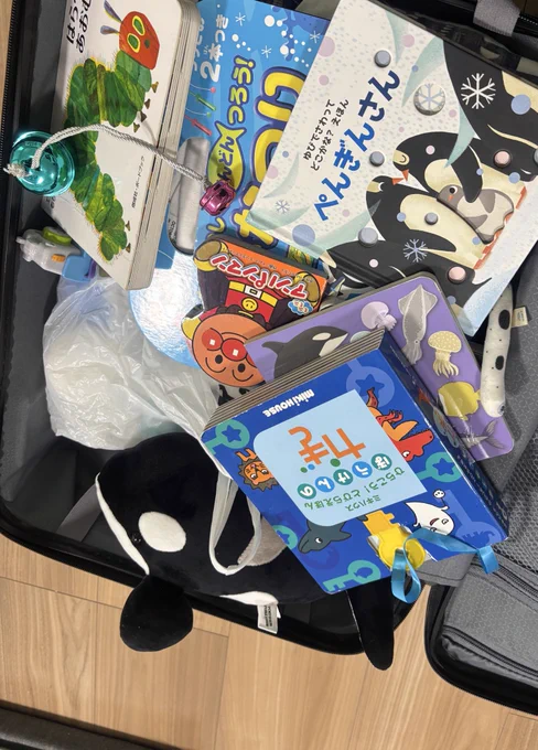 名古屋港水族館のぬいぐるみくじでゲットしたシャチのぬいぐるみ、結構気に入ってくれてるみたいで 今回の旅行の準備中、スーツケースに勝手に詰め込んでたお気に入り玩具達の中にシャチが仲間入りしてて嬉しかったな〜笑