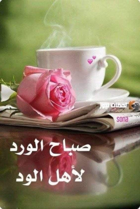 Ahmed Mahdi Orient (@2017ahmedmahdi) on Twitter photo ๐ูุฑุจุท ุงูุญุจ ุฌู
ูุน ุงููููุจ ู
ุซู ู
ูุณููู ูุงุฏุฆุฉุ๐ฑ ูุฑู ุฐูู ู
ู ุฎูุงู ุงูุนููู ุงูู
ููุฆุฉ ุจุงูุญุจ ูุงูุญูุงูุโค๏ธ
๐บุนูุฏู
ุง ุชุณุชููุธ ูู ูู ุตุจุงุญ ูุงุจุชุณุงู
ุชู ุชู
ูุฃ ูุฌููุ ๐ฟูุชุธูุฑ ููุนุงูู
ู
ุฏู ุงูุญุจ ุงูู
ูุฌูุฏ ูู ููุจูุ๐ฑ ุนูุฏูุง ุณูุชุนุงู
ู ู
ุนู ุงูุฃุดุฎุงุต ุจุดูู ุฌูุฏ ูุณุชุดุนุฑ ุจู
ูุฏุงุฑ ุฌู
ุงู ุฐูู ุงูููู
..
๐บุตุจุงุญ ุงููุนู
ุงูุนุธูู
ุฉ.๐บ ๐ูุฑุจุท ุงูุญุจ ุฌู
ูุน ุงููููุจ ู
ุซู ู
ูุณููู ูุงุฏุฆุฉุ๐ฑ ูุฑู ุฐูู ู
ู ุฎูุงู ุงูุนููู ุงูู
ููุฆุฉ ุจุงูุญุจ ูุงูุญูุงูุโค๏ธ
๐บุนูุฏู
ุง ุชุณุชููุธ ูู ูู ุตุจุงุญ ูุงุจุชุณุงู
ุชู ุชู
ูุฃ ูุฌููุ ๐ฟูุชุธูุฑ ููุนุงูู
ู
ุฏู ุงูุญุจ ุงูู
ูุฌูุฏ ูู ููุจูุ๐ฑ ุนูุฏูุง ุณูุชุนุงู
ู ู
ุนู ุงูุฃุดุฎุงุต ุจุดูู ุฌูุฏ ูุณุชุดุนุฑ ุจู
ูุฏุงุฑ ุฌู
ุงู ุฐูู ุงูููู
..
๐บุตุจุงุญ ุงููุนู
ุงูุนุธูู
ุฉ.๐บ