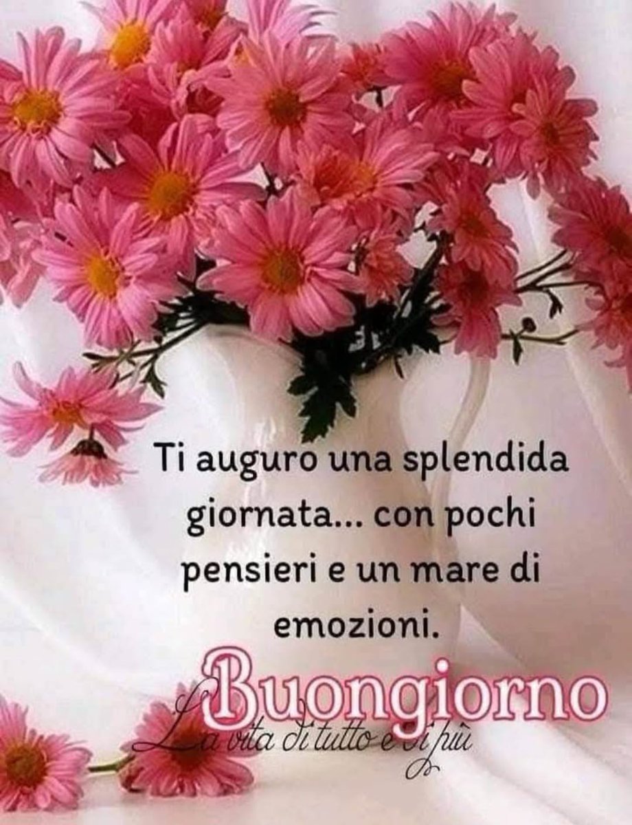 Marianna tweet media