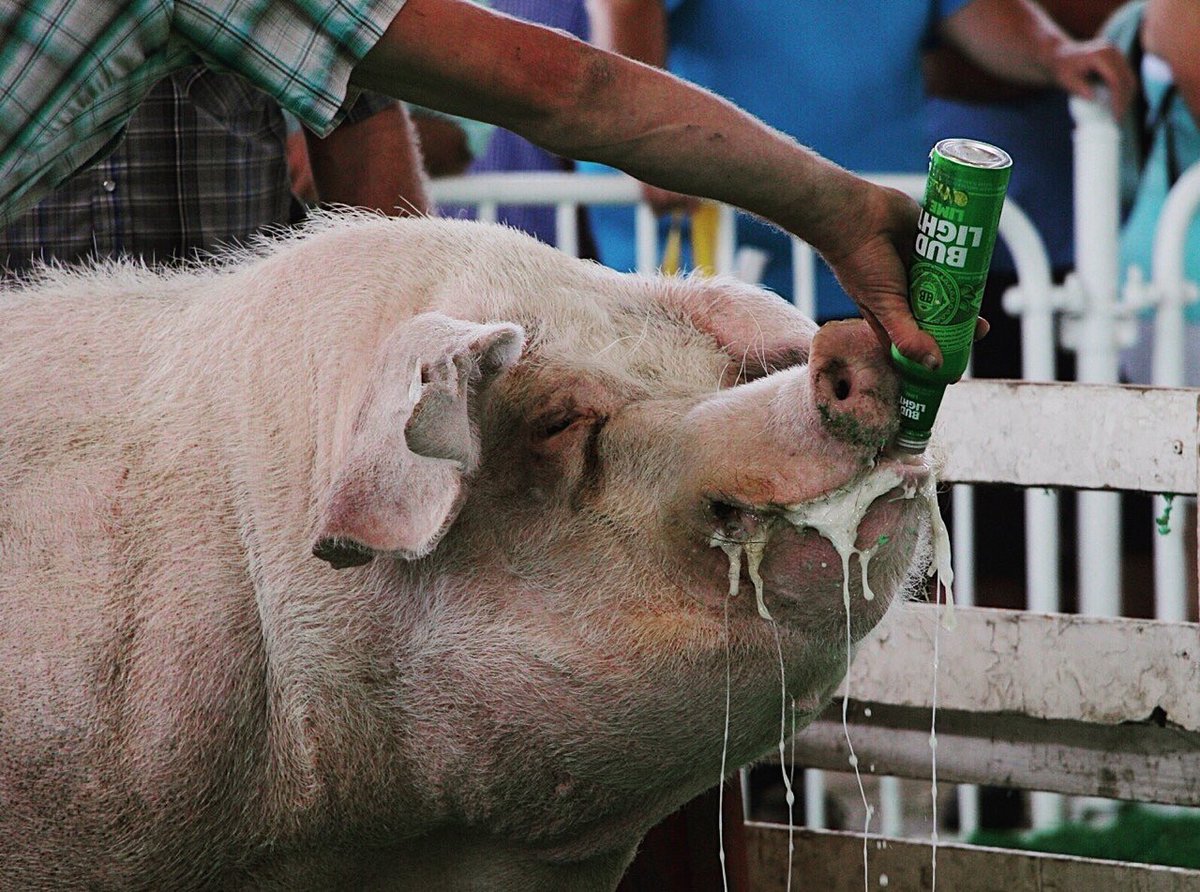 We made it to friday lads